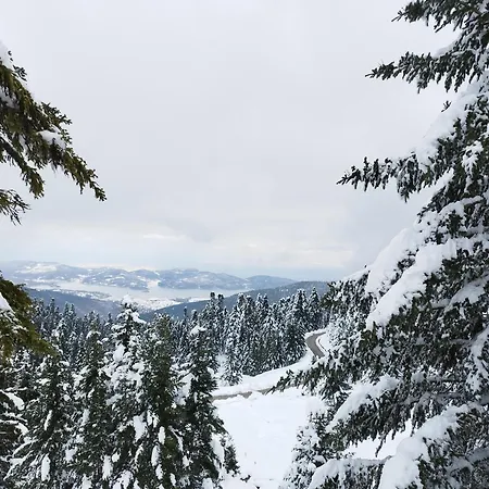 Cosy House, μια ανάσα πριν τη λίμνη Holiday home